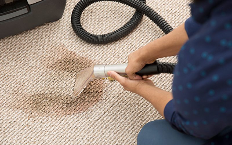 professional-carpet-cleaner-cleaning-carpet-stain_jpg-600x390